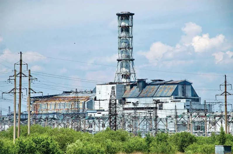 Bí ẩn Chernobyl: Loài vật thách thức phóng xạ, mở ra cánh cửa khoa học - 1