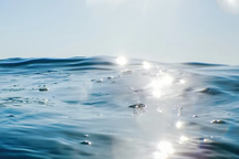 Nghiên cứu mới làm sáng tỏ "vật chất tối" ở đại dương