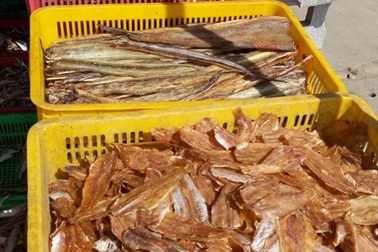 Làng khô vùng biển tất bật đón Tết