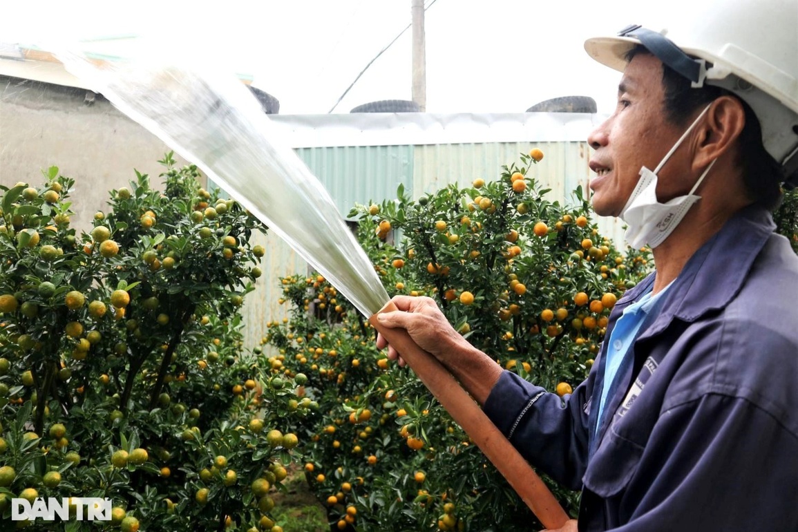 Thủ phủ quất miền Trung chạy nước rút đón Tết cổ truyền - 8 Thủ phủ quất miền Trung chạy nước rút đón Tết cổ truyền - 8