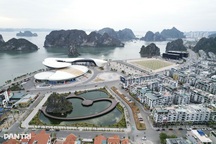 Quảng Ninh đề xuất thành lập đặc khu Móng Cái và 51 cấp xã