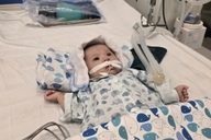 Bé 3 tháng tuổi nguy kịch vì sốc nhiễm khuẩn, cha mẹ nghèo bất lực cầu cứu