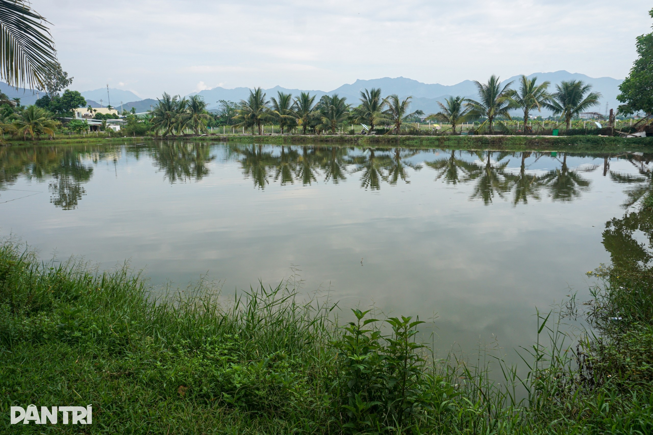 Prosperitate vizibilă pentru pescarii care iubesc vânătoarea - 2 Phất lên trông thấy với loài cần thủ khoái săn - 2