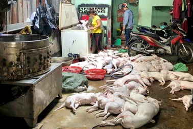 Xử lý triệt để cơ sở giết mổ động vật không có giấy chứng nhận