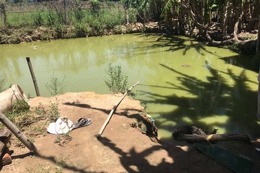 Kéo điện ra ao chích cá, hai bố con nghi bị điện giật chết