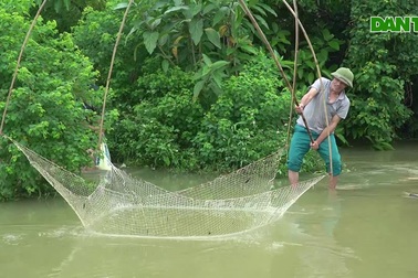 Mang vó, lưới đi đánh cá sau mưa lớn, người dân kiếm tiền triệu