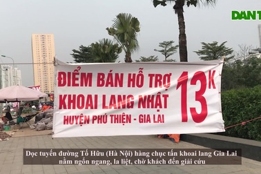 Hàng chục tấn khoai lang nằm la liệt, chờ giải cứu trên vỉa hè Hà Nội