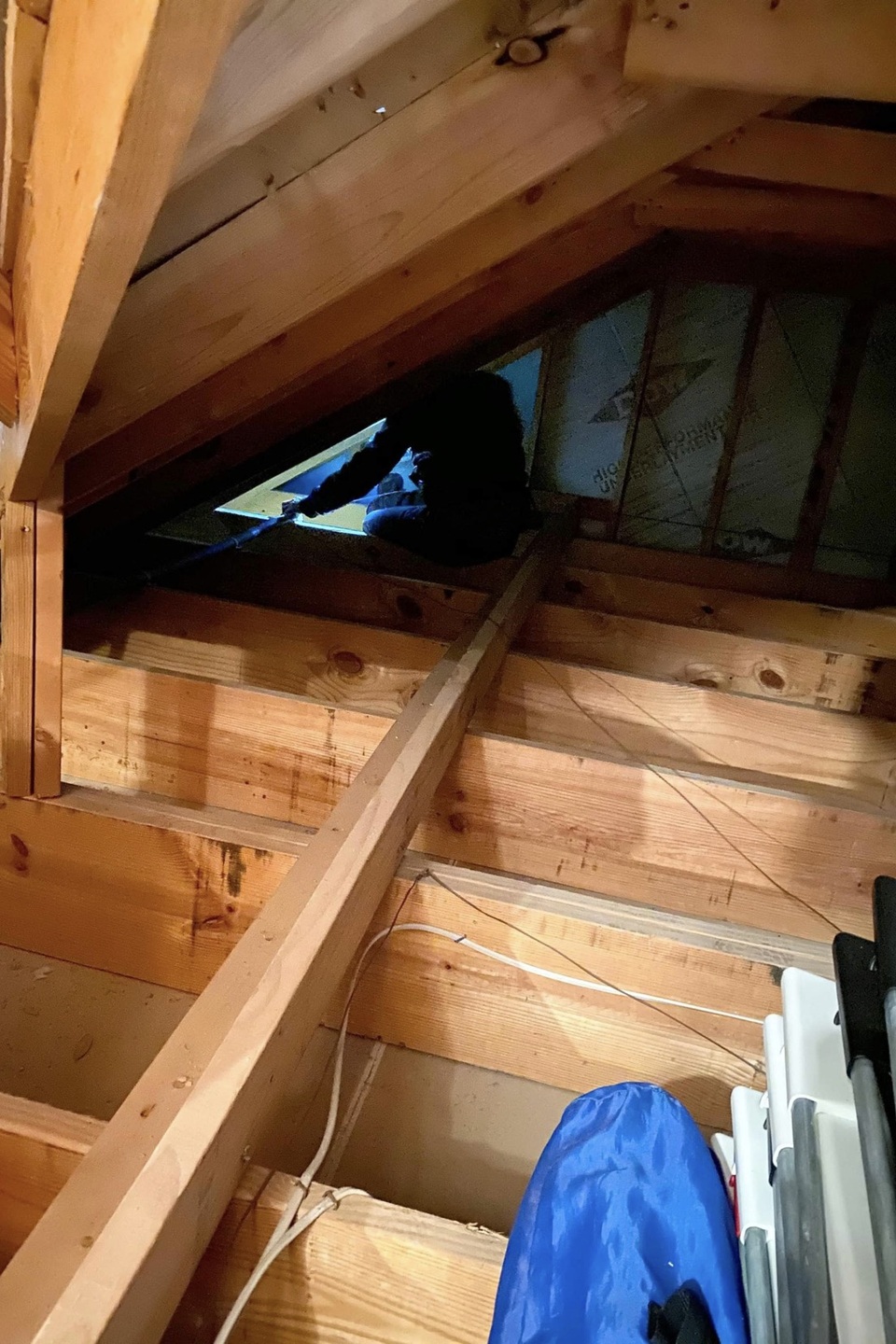 Người Việt giải cứu ống nước bị bể do bão tuyết cho cư dân Houston, Texas - 6 Người Việt giải cứu ống nước bị bể do bão tuyết cho cư dân Houston, Texas - 6