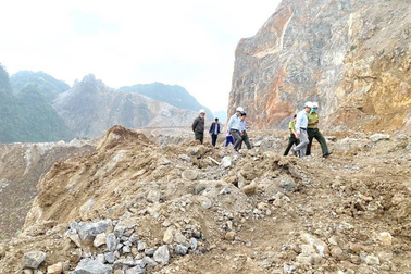 Vụ doanh nghiệp "bức tử" rừng phòng hộ: Nhà máy xi măng nói gì ?