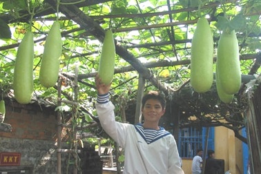 Những “đặc sản” chỉ có ở Trường Sa