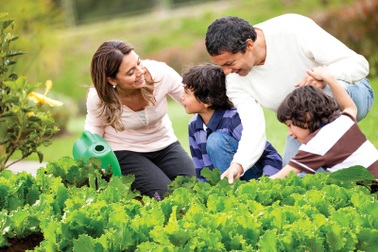 Xu hướng sống “cân bằng” trong xã hội hiện đại