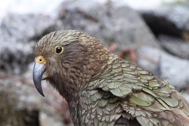 Phát hiện nơi "thời gian quay nhanh" của Trái đất