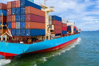 Giá cước tăng vọt, vận tải biển kiếm đậm nhất kể từ năm 2008