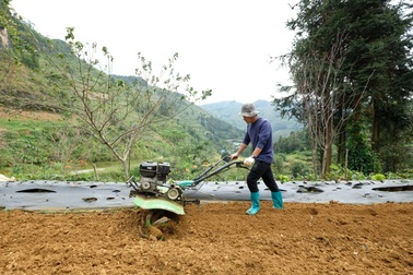 "Bí kíp" giúp đồng bào dân tộc thiểu số thoát nghèo, vươn lên làm chủ