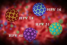 Các giai đoạn phát triển của ung thư cổ tử cung do nhiễm HPV