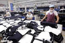 Bảo hiểm tai nạn lao động, bệnh nghề nghiệp - "Điểm tựa" của người lao động