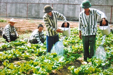 Chuyện những phạm nhân thoát án tử hình 