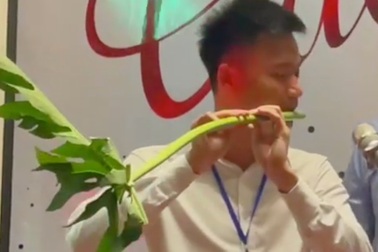 Thành tích đáng nể của SV Bách khoa Hà Nội thổi sáo bằng cuống lá đu đủ