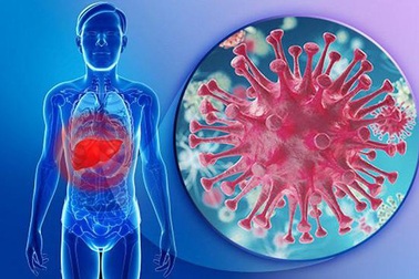 Virus viêm gan B: Sát thủ thầm lặng thách thức y học thế giới