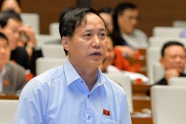 Đại biểu Quốc hội đề nghị khởi tố chủ đầu tư vi phạm quản lý chung cư