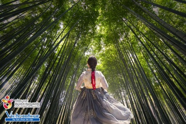 Tour du lịch Hàn Quốc dành riêng phái đẹp trong tháng 10