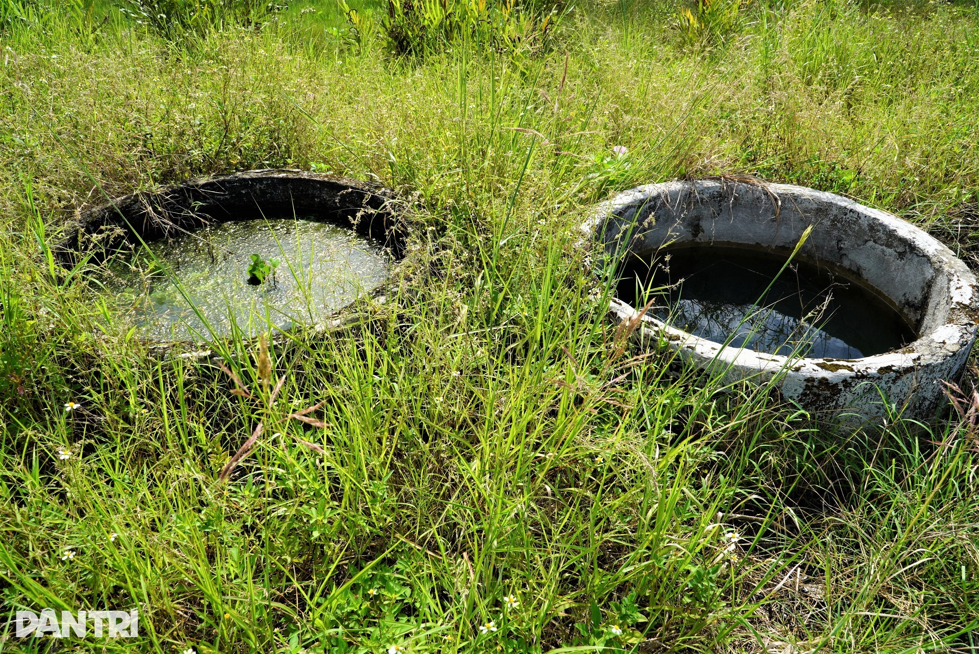 Dân bỏ nghề làm một ngày ăn cả năm, 80ha đất bị bỏ hoang - 4