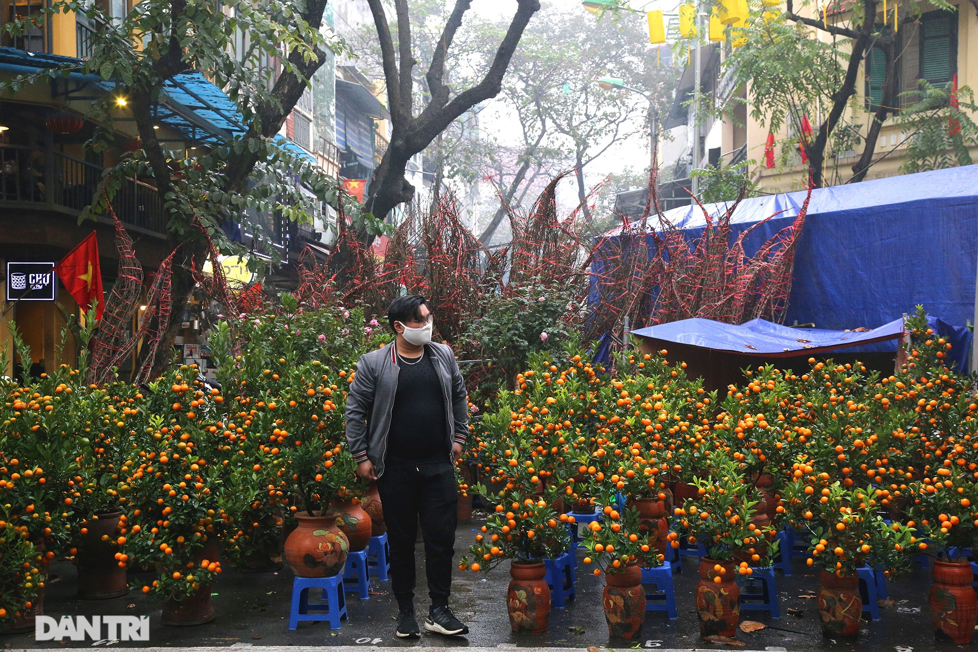 Chợ hoa chợ Tết ở Hà Nội hiu hắt vì dịch Covid-19 - 3 Chợ hoa chợ Tết ở Hà Nội hiu hắt vì dịch Covid-19 - 3
