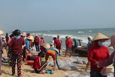 Những bến cá ven biển Quảng Nam