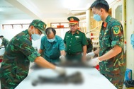 TPHCM hoàn thành lấy mẫu sinh phẩm tại 18 nghĩa trang liệt sĩ