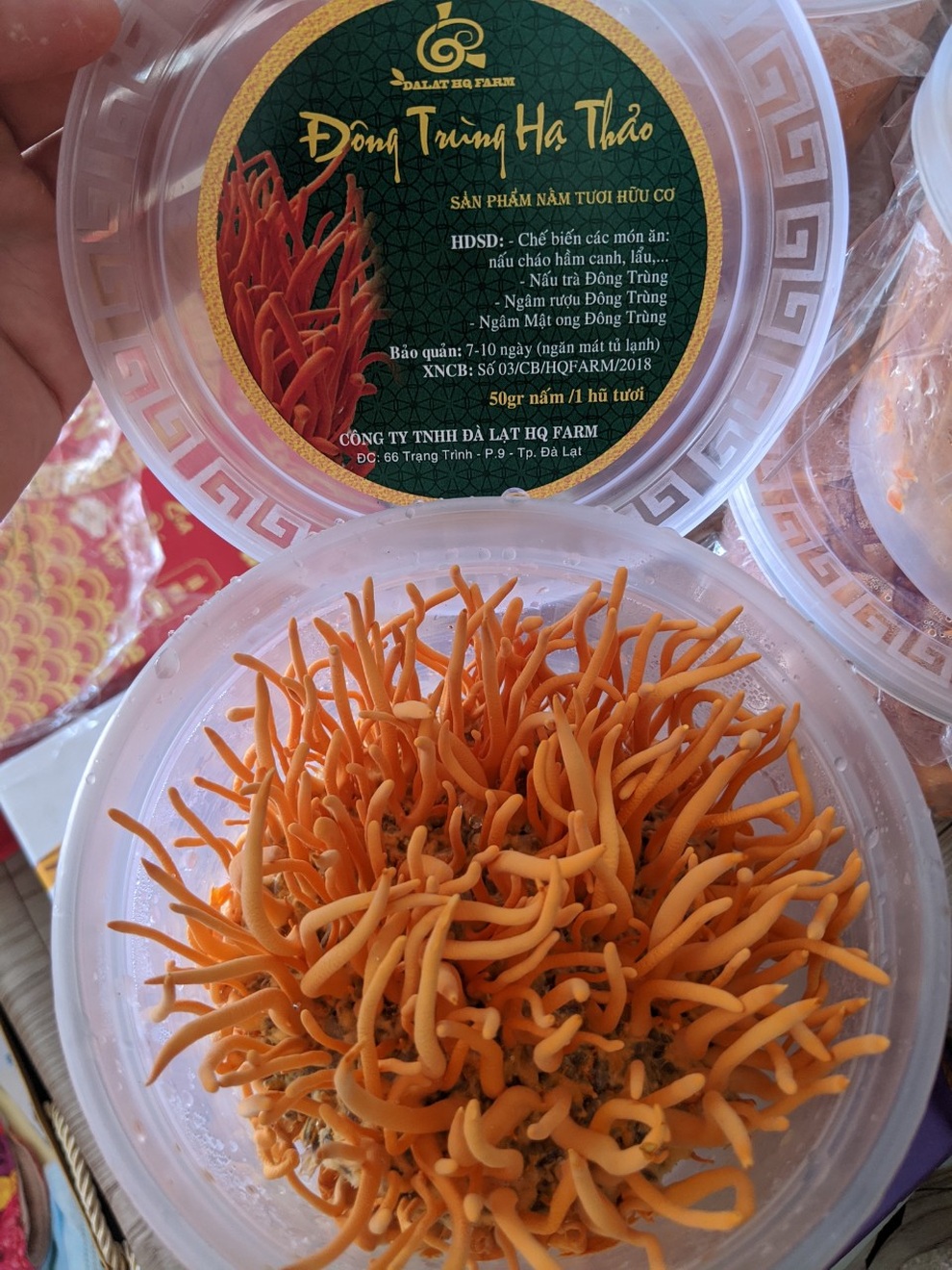 Đông trùng hạ thảo công nghệ Nhật Bản được nhiều người yêu thích - 1 Đông trùng hạ thảo công nghệ Nhật Bản được nhiều người yêu thích - 1