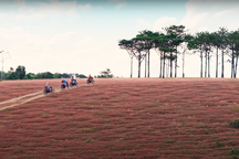 Yamaha PG-1 ra mắt thị trường Việt Nam