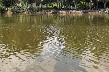 Hai chị em sinh đôi đuối nước trên sông