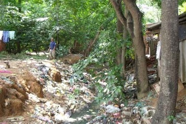 Số ca mắc sốt xuất huyết giảm 50%