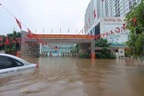 Hà Nội: Hàng loạt trường hoãn tựu trường, học online vì mưa lớn