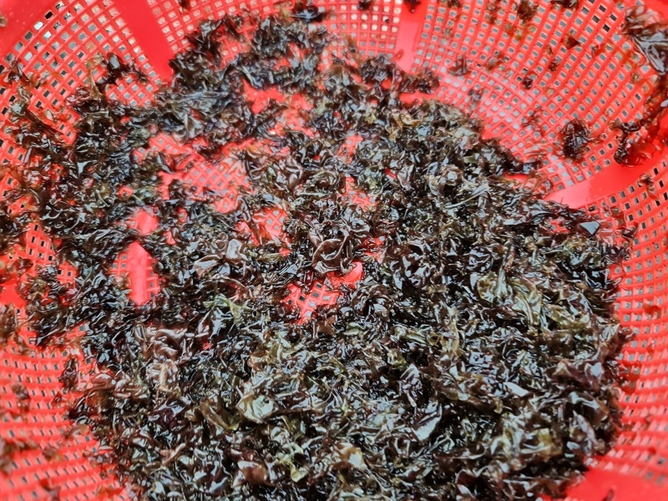 Nghề canh sóng - 2 Nghề canh sóng - 2