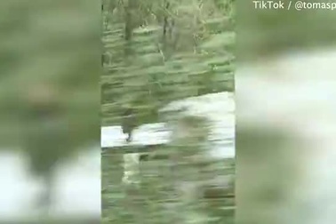 Sửng sốt cảnh Tom Cruise ngồi trên nóc tàu hỏa đang băng băng chạy