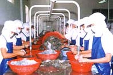 Nga ngừng nhập khẩu cá tra, basa của 4 công ty Việt Nam