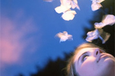 Hãy nhìn xuống trước khi nhìn lên  