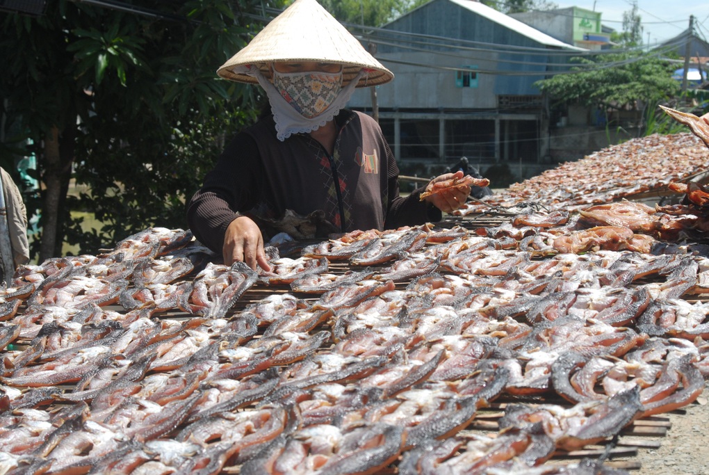 Các làng khô cá chạy đua chuẩn bị hàng Tết - 2 Các làng khô cá chạy đua chuẩn bị hàng Tết - 2