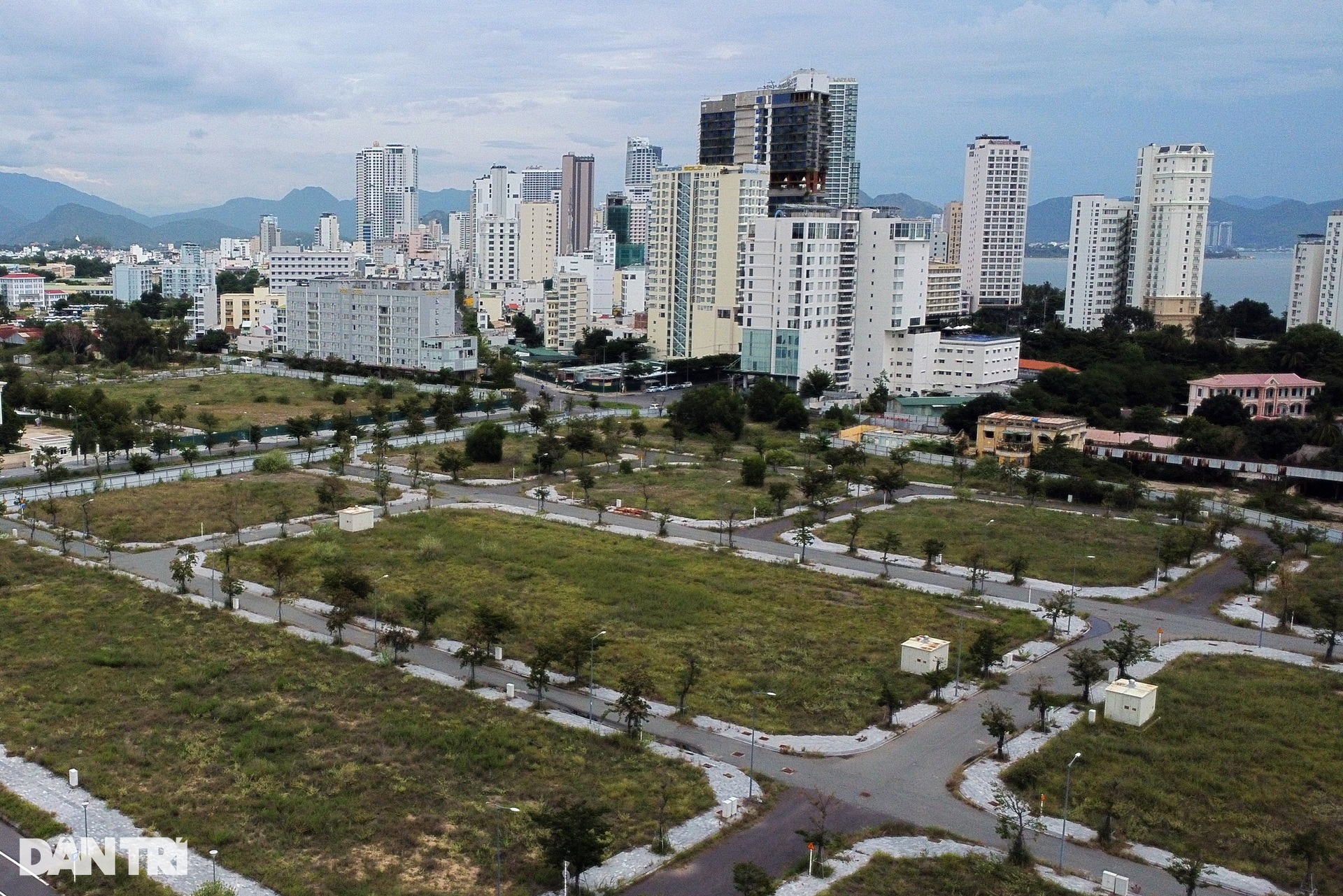 Hiện trạng các lô đất vàng um tùm cỏ ở sân bay Nha Trang - 12 Hiện trạng các lô đất vàng um tùm cỏ ở sân bay Nha Trang - 12
