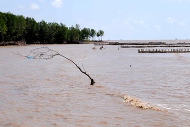 ĐBSCL sẽ ngập 90% diện tích nếu nước biển dâng cao 1m