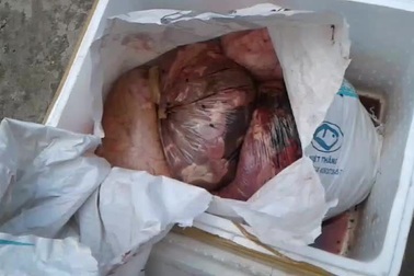 Nội tạng động vật bốc mùi.