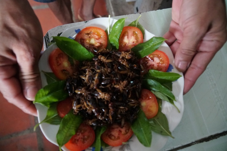 Khởi nghiệp thành công từ một... ổ dế được cho - 8 Khởi nghiệp thành công từ một... ổ dế được cho - 8