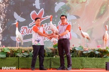 Vườn quốc gia Tràm Chim chính thức tiếp nhận 6 cá thể sếu đầu đỏ