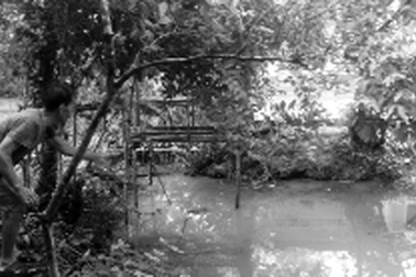 “Ông bố” 16 tuổi ném con xuống ao 