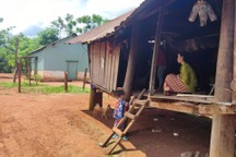 Gia Lai vào cuộc vụ thanh niên tin "việc nhẹ lương cao", bị lừa xuất ngoại