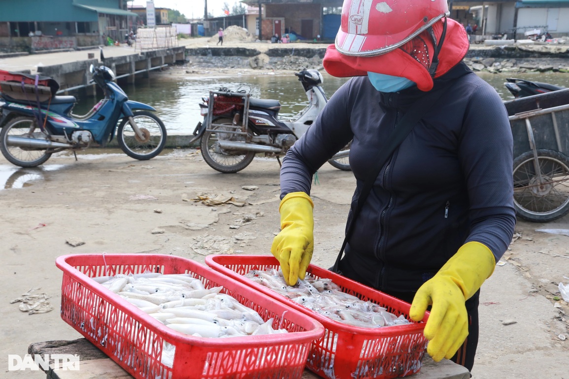 Ngư dân kiếm tiền triệu mỗi chuyến ra khơi nhờ đánh bắt đặc sản - 6 Ngư dân kiếm tiền triệu mỗi chuyến ra khơi nhờ đánh bắt đặc sản - 6