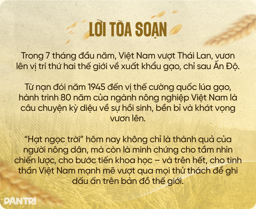Giải mã gen tìm tầm vóc của cây lúa Việt trong kỷ nguyên mới - 1 Giải mã gen tìm tầm vóc của cây lúa Việt trong kỷ nguyên mới - 1
