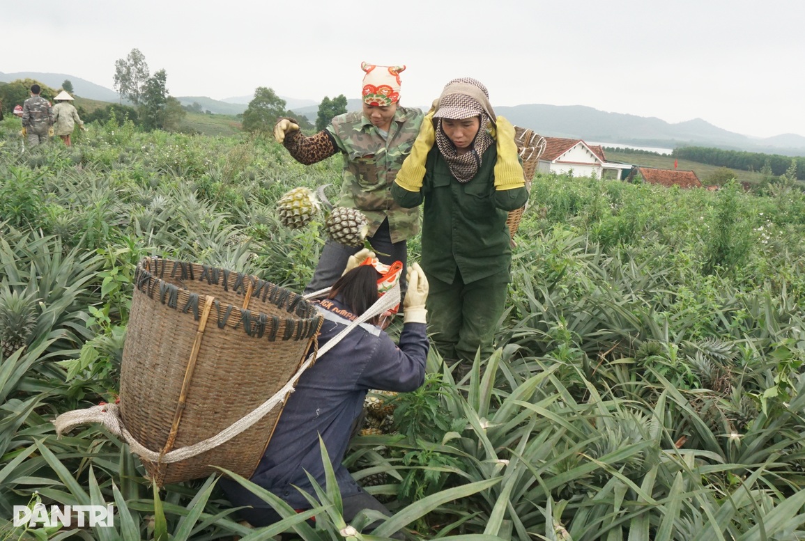 Những nữ cửu vạn làm việc bằng đầu, tính tiền theo giờ - 2