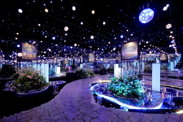 Không gian nghệ thuật đẳng cấp tại dạ tiệc The Sonnet of Sapphire của DOJILAND